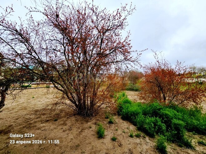 Satılır 7 otaqlı həyət evi/bağ evi 600 m², Bilgəh q., photo 29 from 32