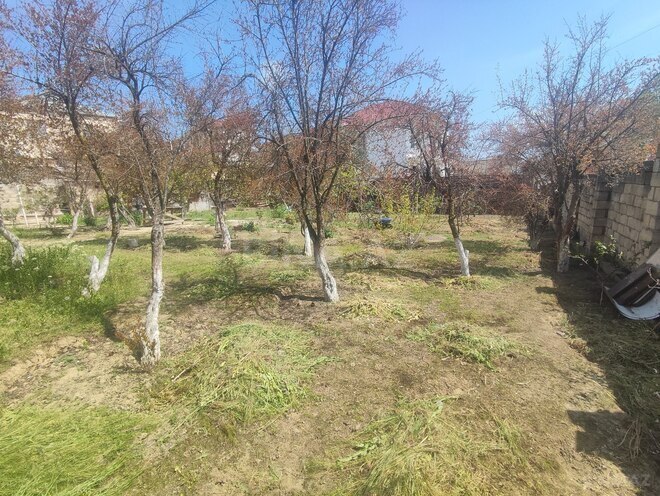 Satılır  torpaq 4 sot, Badamdar q., photo 7 from 8