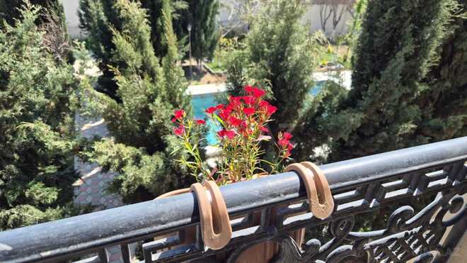 İcarəyə verilir 6 otaqlı həyət evi/bağ evi 320 m², Şüvəlan q., photo 6 from 22