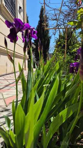 İcarəyə verilir 6 otaqlı həyət evi/bağ evi 320 m², Şüvəlan q., photo 4 from 22