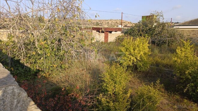 Satılır  torpaq 12 sot, Sea Breeze q., photo 1 from 16