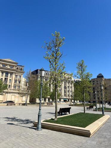 Продаётся 5-комн. новостройка 220 м², Сабаильский р., photo 11 from 32