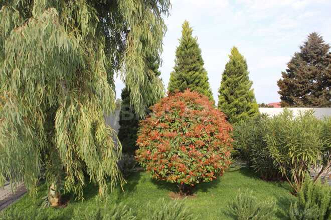 Satılır 4 otaqlı həyət evi/bağ evi 161 m², Bilgəh q., photo 4 from 32