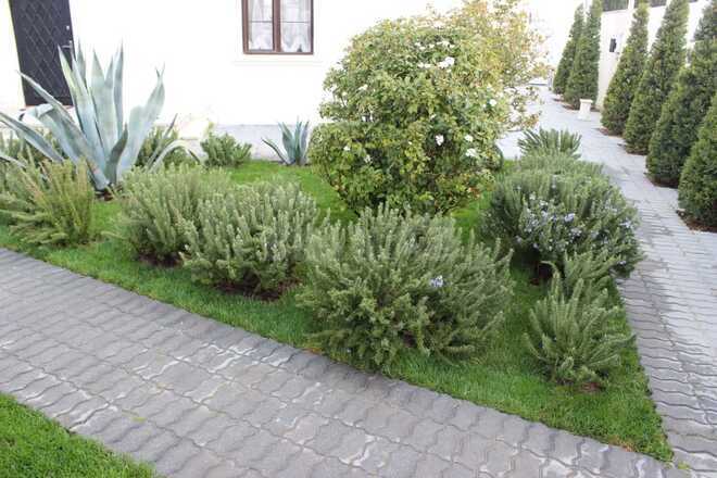 Satılır 4 otaqlı həyət evi/bağ evi 161 m², Bilgəh q., photo 5 from 32