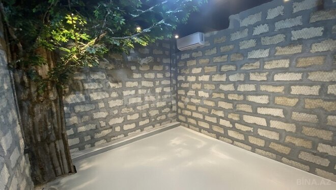 Сдаётся  объект 412 м², м. Сахил, photo 4 from 8