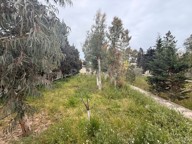 Satılır  torpaq 12 sot, Mərdəkan q., photo 10 from 15