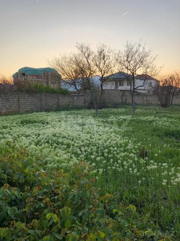 Satılır  torpaq 10 sot, Saray q., photo 6 from 23