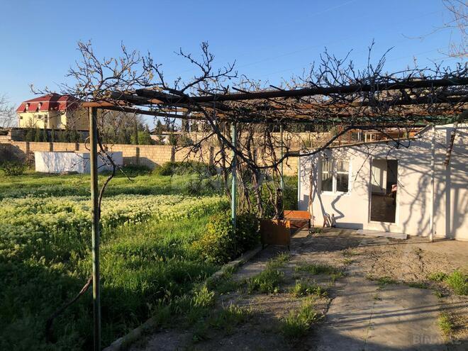 Satılır  torpaq 10 sot, Saray q., photo 14 from 23