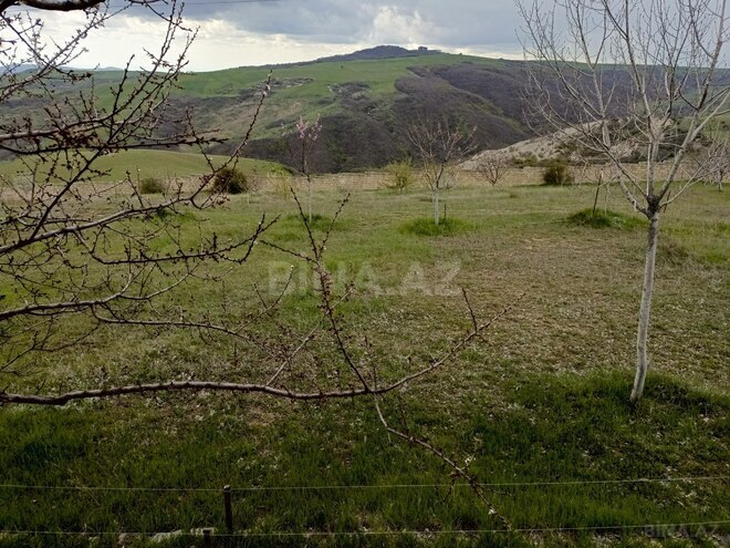 Сдаётся 4-комн. дом/дача 175 м², photo 8 from 32