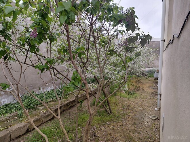 Продаётся 6-комн. дом/дача 214 м², пос. Шувеляны, photo 6 from 29