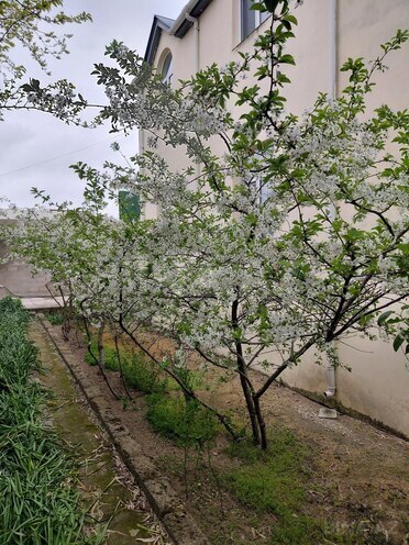Продаётся 6-комн. дом/дача 214 м², пос. Шувеляны, photo 5 from 29