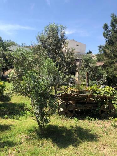 İcarəyə verilir 7 otaqlı həyət evi/bağ evi 520 m², Bilgəh q., photo 17 from 32