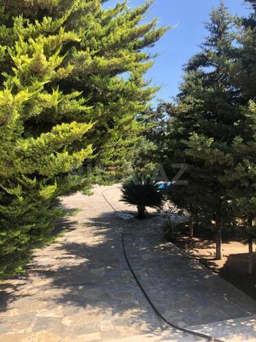 İcarəyə verilir 7 otaqlı həyət evi/bağ evi 520 m², Bilgəh q., photo 14 from 32