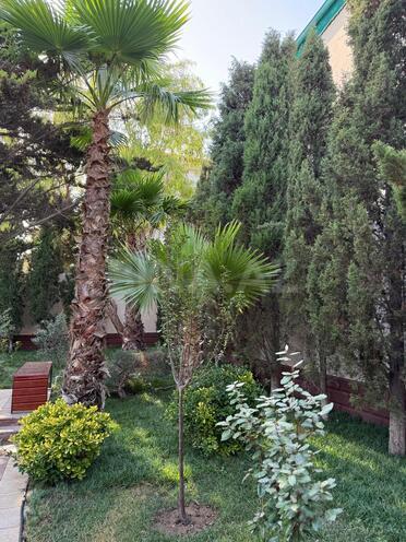 İcarəyə verilir 6 otaqlı həyət evi/bağ evi 295 m², Mərdəkan q., photo 3 from 32