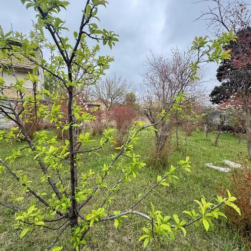 Продаётся  участок 3 сот, пос. Новханы, photo 5 from 29