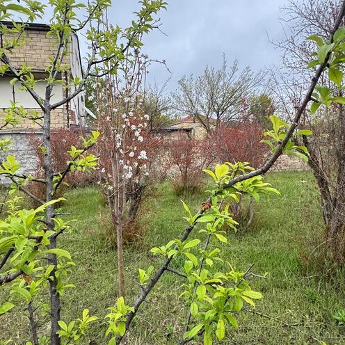 Продаётся  участок 3 сот, пос. Новханы, photo 20 from 29