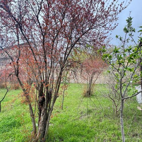 Продаётся  участок 3 сот, пос. Новханы, photo 9 from 29