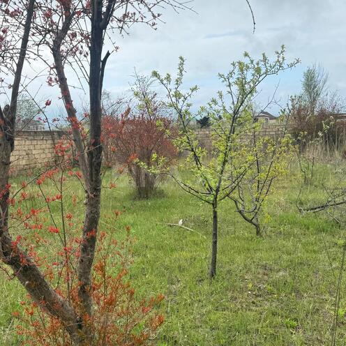 Продаётся  участок 3 сот, пос. Новханы, photo 13 from 29
