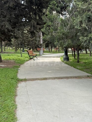 Сдаётся 4-комн. офис 114 м², м. Ичеришехер, photo 17 from 18