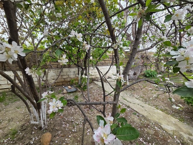 Продаётся 3-комн. дом/дача 80 м², пос. Биладжары, photo 10 from 20