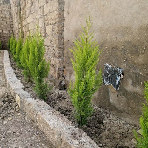 İcarəyə verilir 1 otaqlı həyət evi/bağ evi 37 m², Əhmədli m., photo 11 from 12