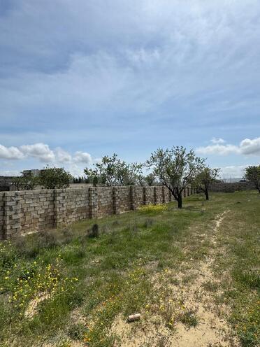 Satılır  torpaq 10 sot, Masazır q., photo 3 from 6