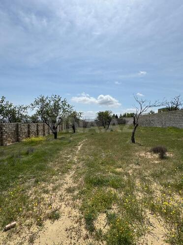 Satılır  torpaq 10 sot, Masazır q., photo 1 from 6