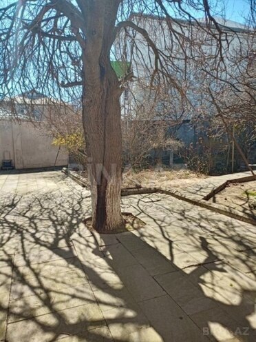 Satılır  torpaq 11.5 sot, Badamdar q., photo 5 from 9