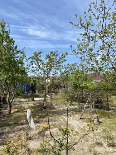 Продаётся  участок 6 сот, пос. Сарай, photo 5 from 10