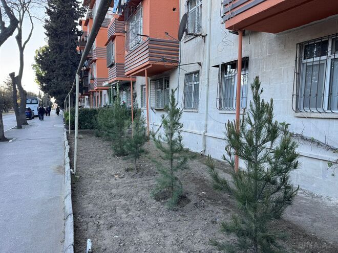 Продаётся 3-комн. вторичка 75 м², м. Нефтчиляр, photo 1 from 12