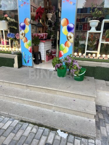 Сдаётся  объект 15 м², м. Шах Исмаил Хатаи, photo 5 from 6