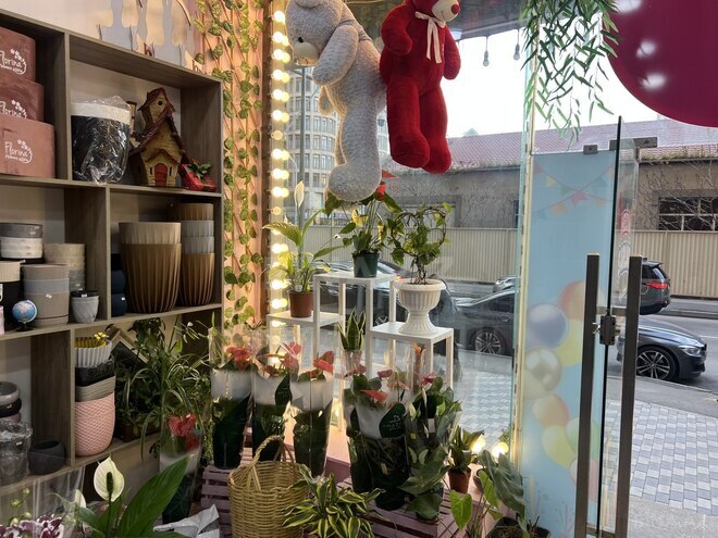 Сдаётся  объект 15 м², м. Шах Исмаил Хатаи, photo 3 from 6