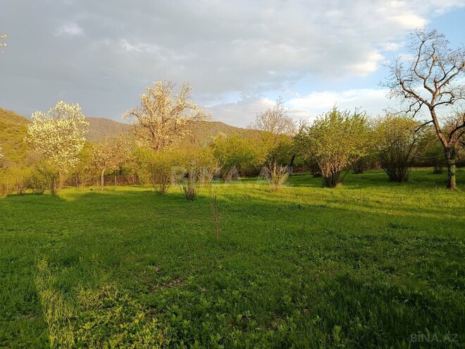 Сдаётся  объект 3 200 м², photo 5 from 20