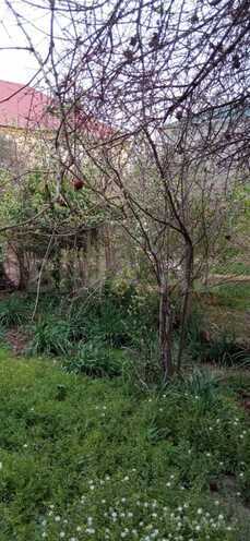 Satılır 5 otaqlı həyət evi/bağ evi 114 m², M.Ə.Rəsulzadə q., photo 11 from 12
