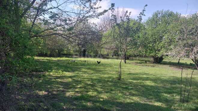 Продаётся  участок 30 сот, photo 6 from 8