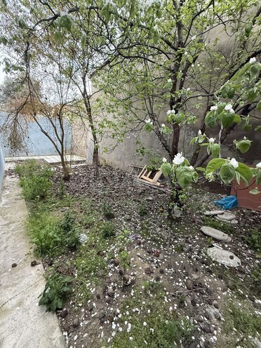 Продаётся 5-комн. дом/дача 170 м², Абшеронcкий  р., photo 8 from 26