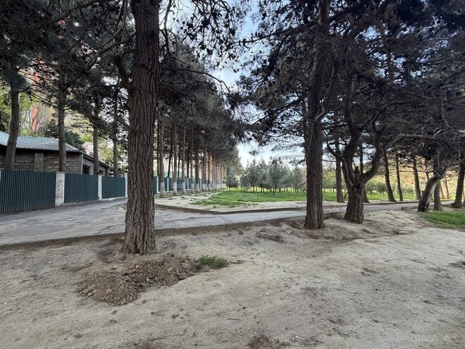 Продаётся  объект 600 м², м. Насими, photo 20 from 21