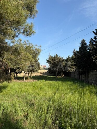 Сдаётся  участок 52 сот, пос. Биладжары, photo 10 from 20