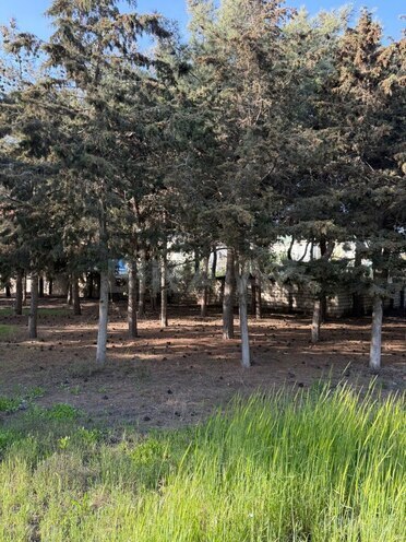 Сдаётся  участок 52 сот, пос. Биладжары, photo 5 from 20