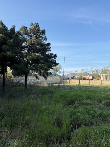 Сдаётся  участок 52 сот, пос. Биладжары, photo 3 from 20