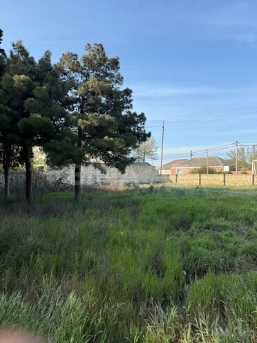 Сдаётся  участок 52 сот, пос. Биладжары, photo 4 from 20