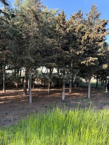 Сдаётся  участок 52 сот, пос. Биладжары, photo 7 from 20