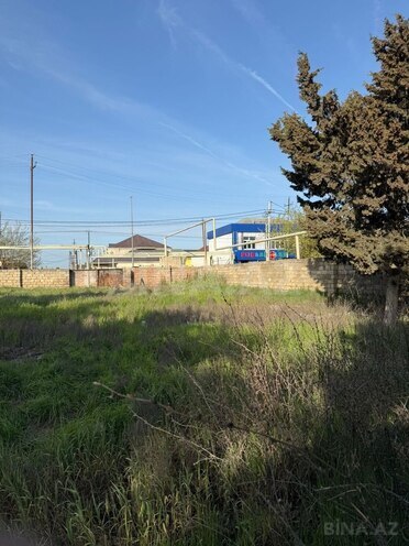 Сдаётся  участок 52 сот, пос. Биладжары, photo 11 from 20