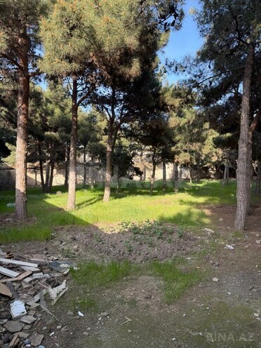 Сдаётся  участок 52 сот, пос. Биладжары, photo 8 from 20