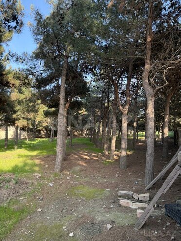 Сдаётся  участок 52 сот, пос. Биладжары, photo 9 from 20