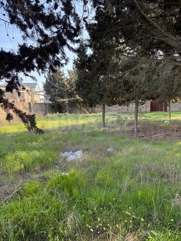 Сдаётся  участок 52 сот, пос. Биладжары, photo 13 from 20