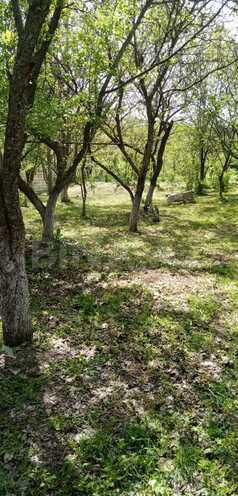 Продаётся  участок 40 сот, photo 1 from 21