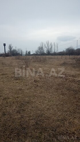 Продаётся  участок 87 сот, photo 4 from 9