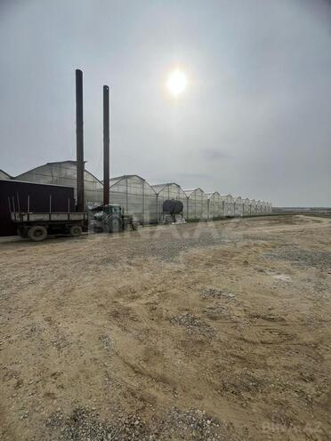Продаётся  объект 25 000 м², пос. Мамедли, photo 1 from 10