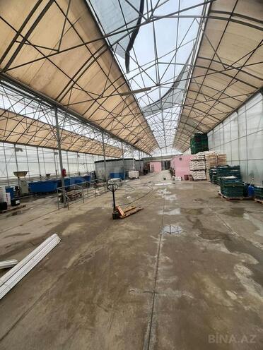 Продаётся  объект 25 000 м², пос. Мамедли, photo 5 from 10